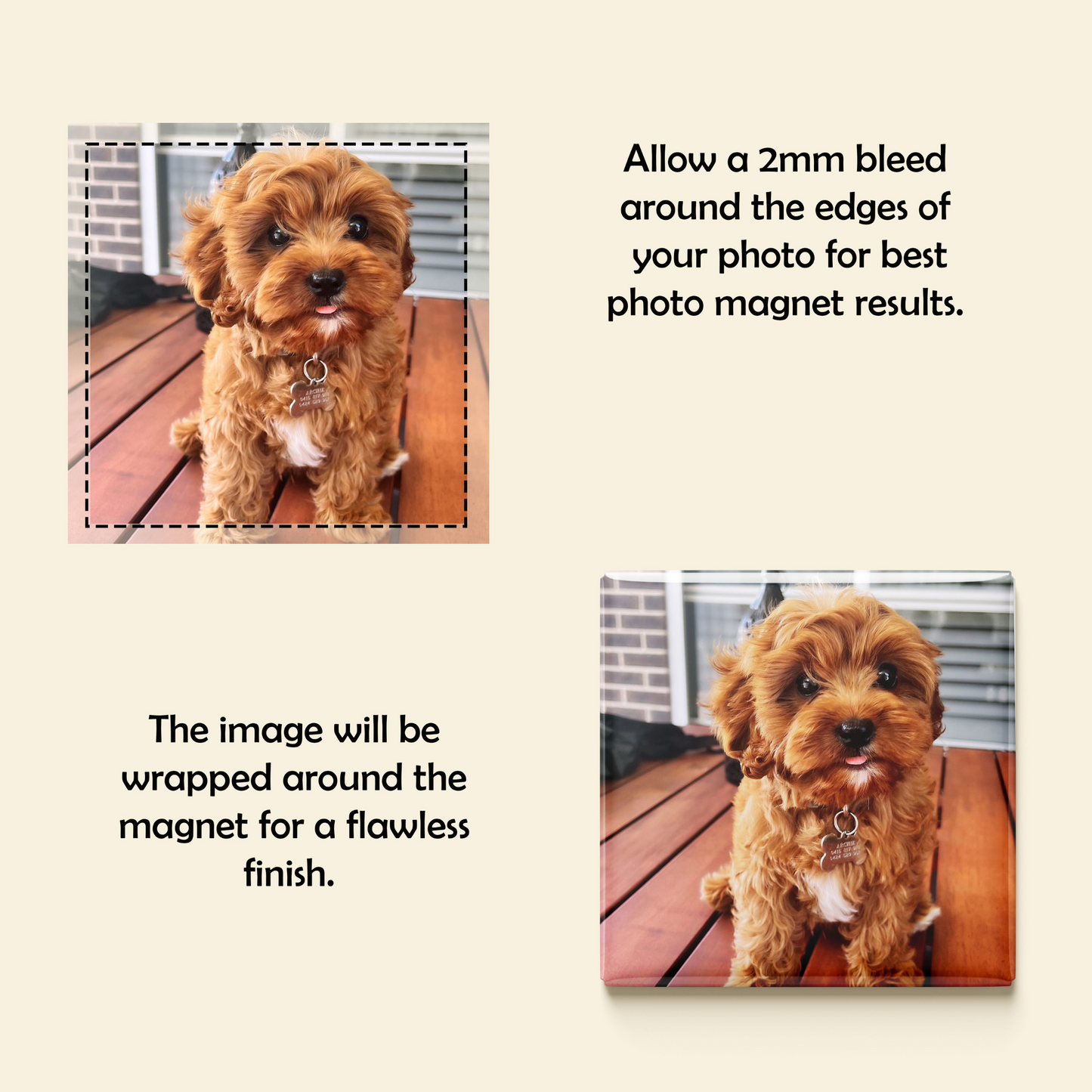 Custom Photo Magnets